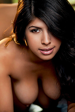 Layla Rose Busty Latina