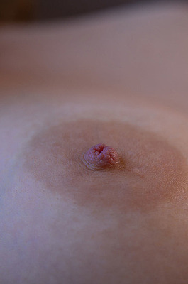 Stella Cardo In Glamour - 12