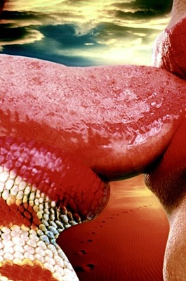 Busty And Pussy Selection