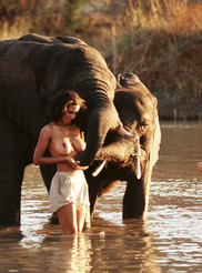 Karin Taylor, Jami Ferrell And Rachel Jeán Marteen Playmates On Safari - 03